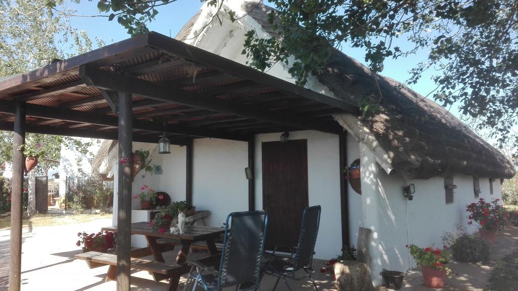 La Barraca D'En Salvador Deltebre Exterior foto